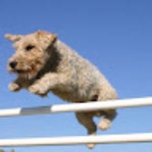 Meet your Posher, Kaoru